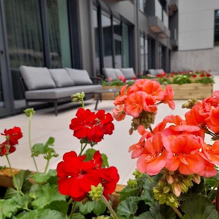 Hotel Pestera Wellness & Spa Moroeni Exterior foto